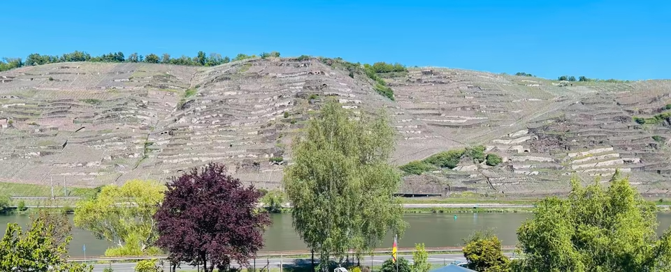 Mietwohnung in Koblenz Lay mit Moselblick